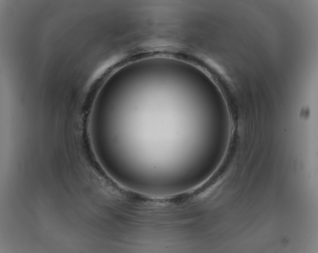 X0000093261309200709261723