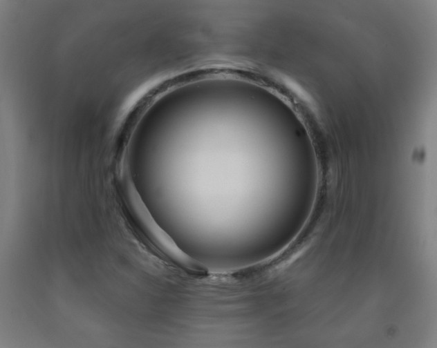 X0000093261310200709261723