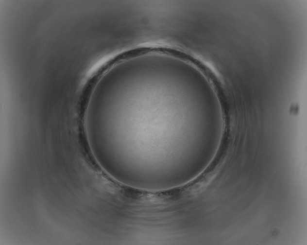 X0000093261311200709261723