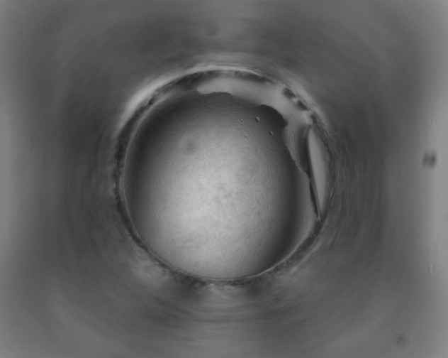 X0000093261312200709261723