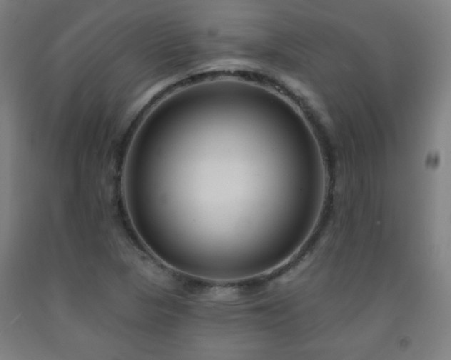 X0000093261313200709261723