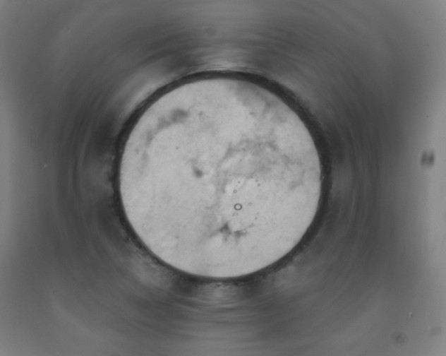 X0000093261314200709261723