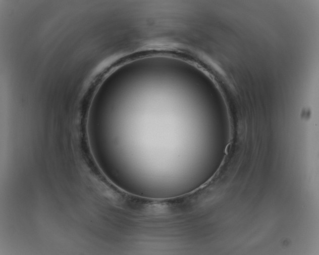 X0000093261315200709261723