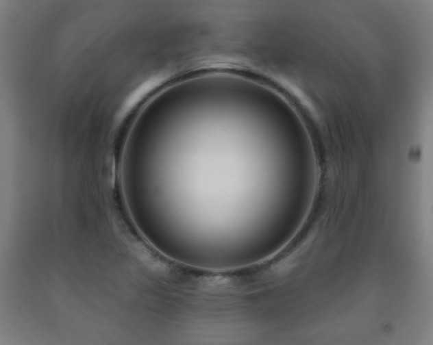 X0000093261317200709261723