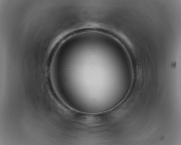 X0000093261318200709261723