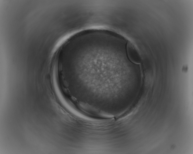 X0000093261319200709261723