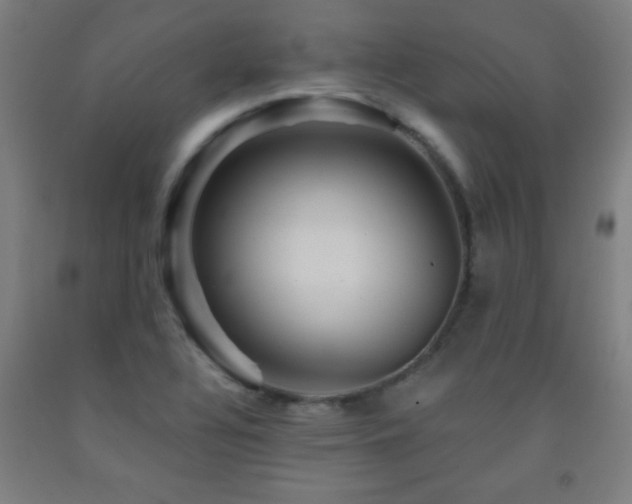 X0000093261320200709261723