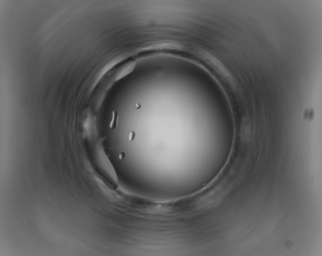 X0000093261321200709261723