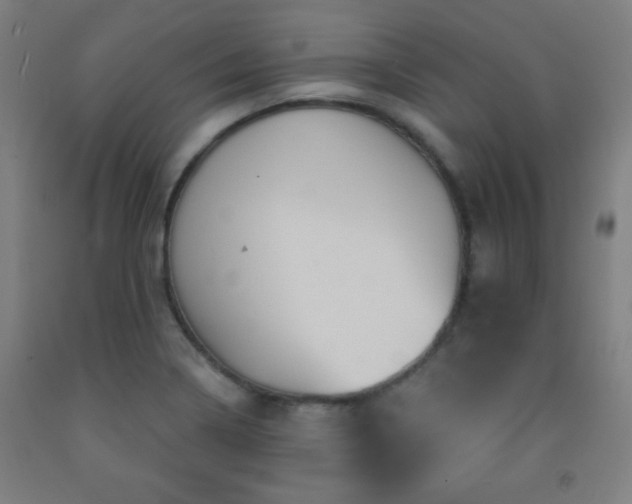 X0000093261322200709261723