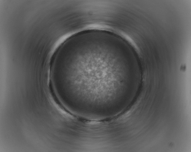 X0000093261323200709261723