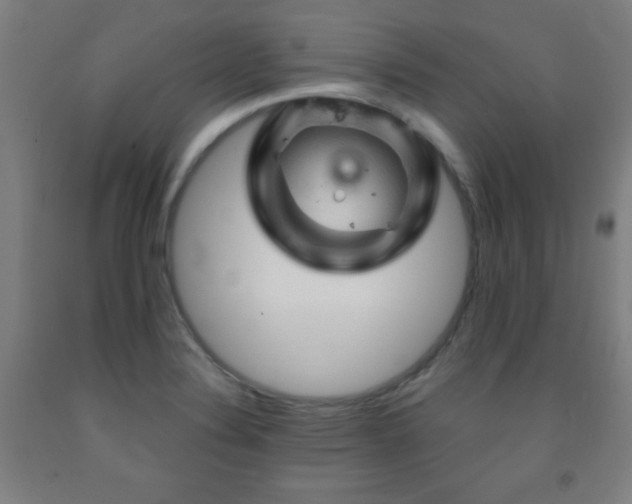X0000093261324200709261723