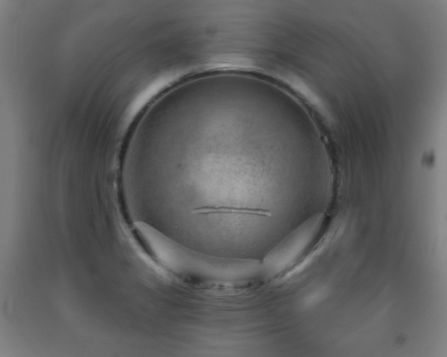 X0000093261325200709261723