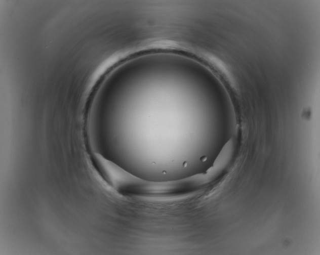 X0000093261326200709261723