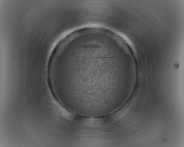 X0000093261327200709261723
