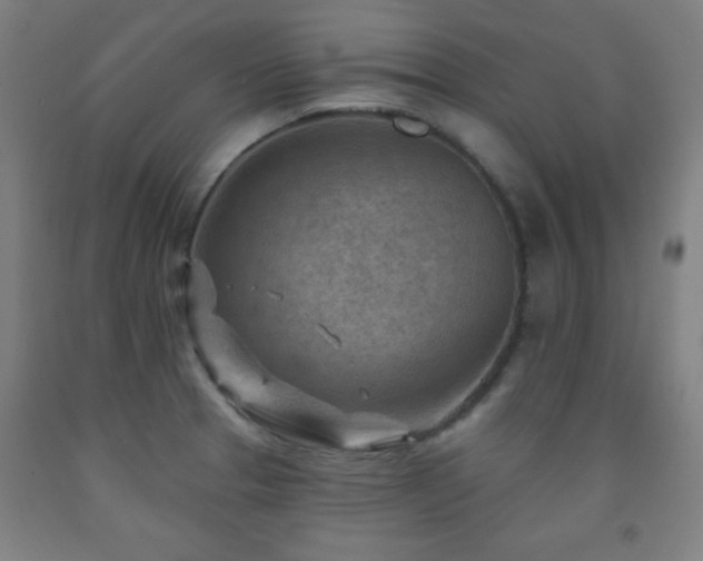 X0000093261329200709261723