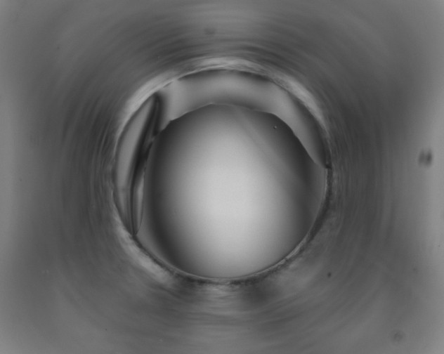 X0000093261330200709261723