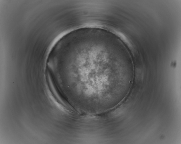 X0000093261331200709261723