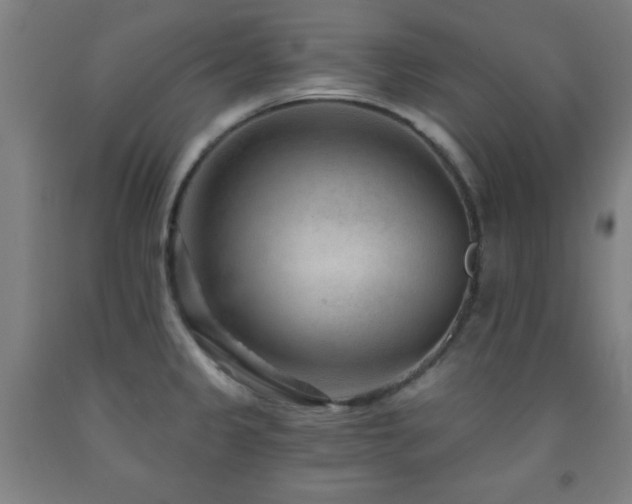 X0000093261333200709261723