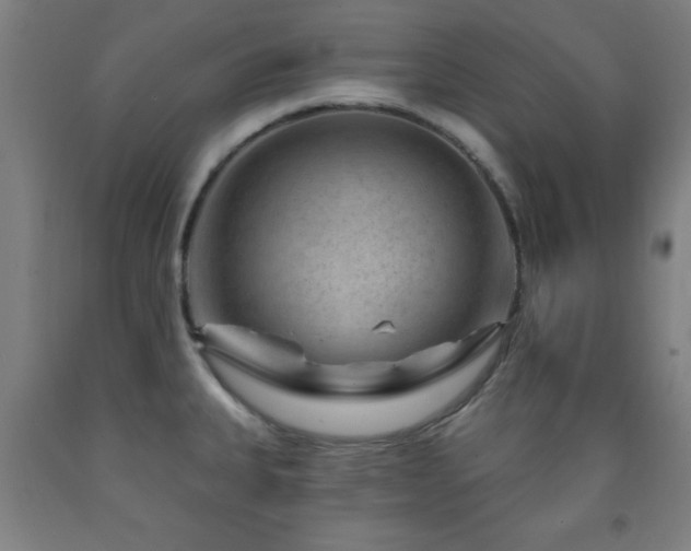 X0000093261335200709261723