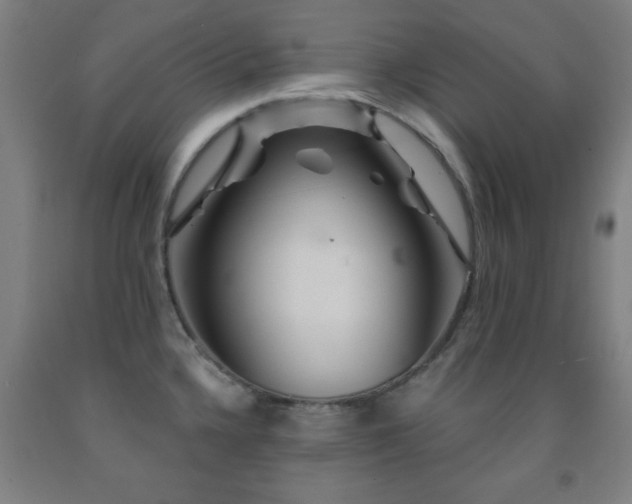 X0000093261336200709261723