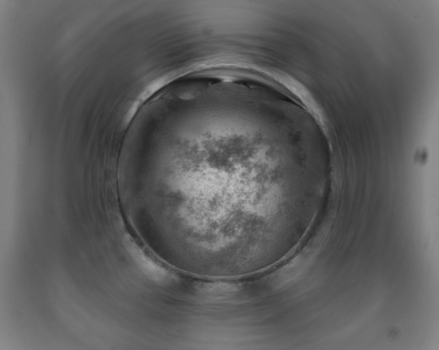 X0000093261337200709261723