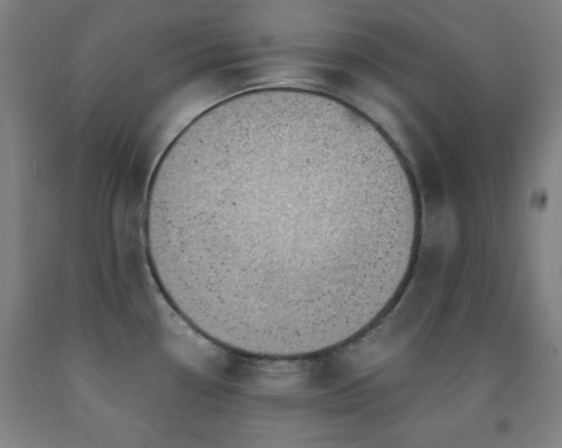 X0000093261338200709261723