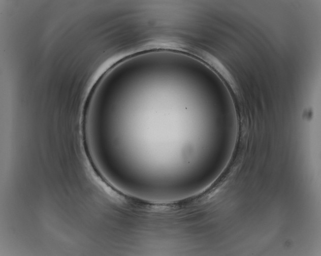 X0000093261339200709261723