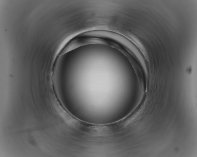 X0000093261340200709261723