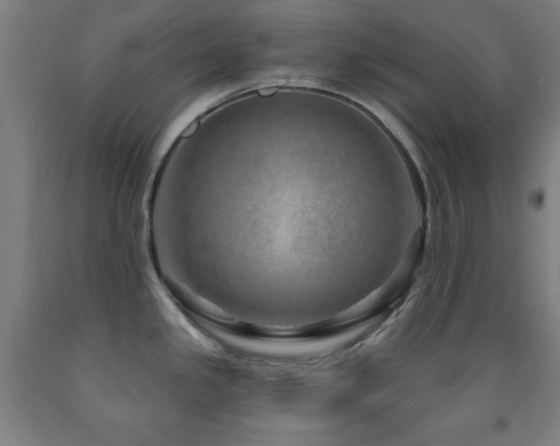 X0000093261341200709261723
