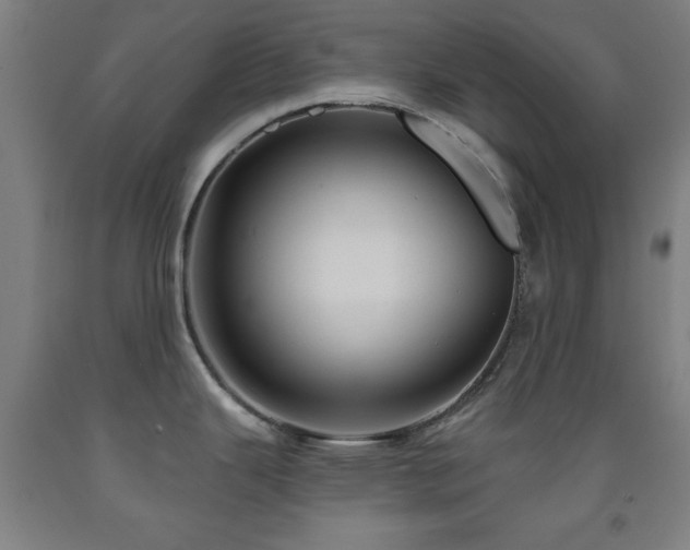 X0000093261343200709261723
