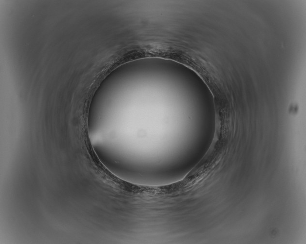 X0000093261345200709261723