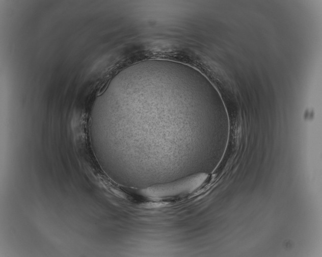 X0000093261346200709261723