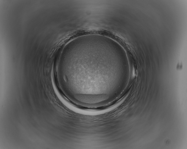 X0000093261348200709261723