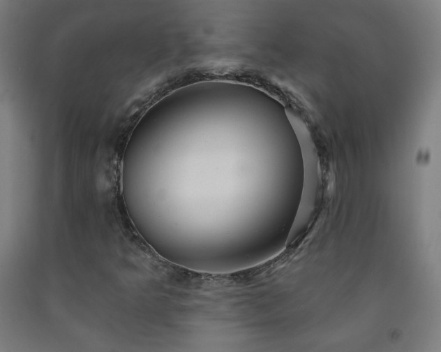 X0000093261349200709261723