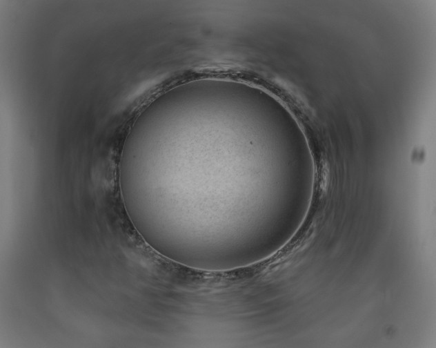 X0000093261350200709261723