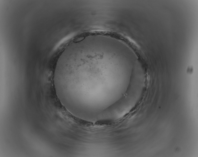 X0000093261351200709261723