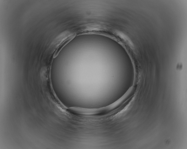 X0000093261353200709261723