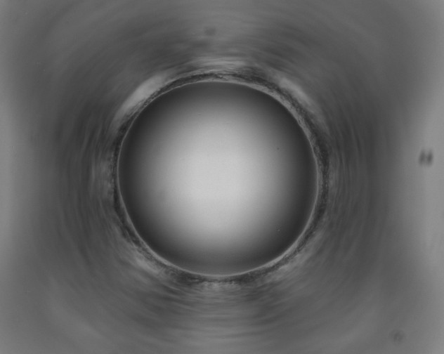 X0000093261354200709261723