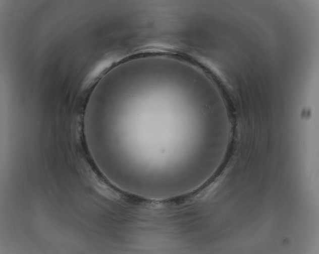 X0000093261355200709261723