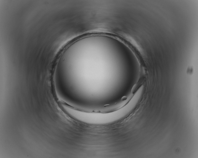 X0000093261356200709261723