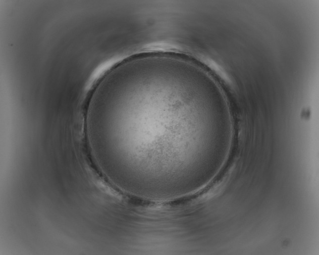 X0000093261358200709261723