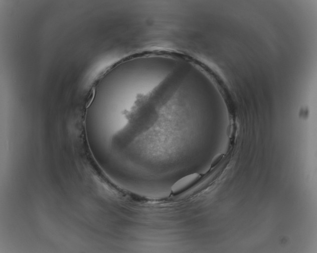 X0000093261359200709261723