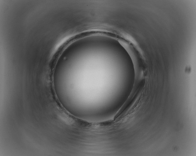 X0000093261360200709261723