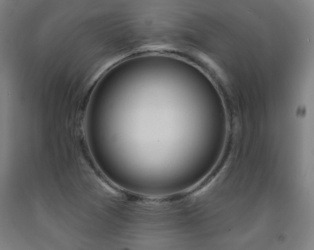 X0000093261361200709261722