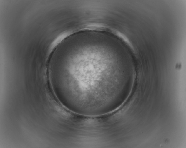 X0000093261362200709261722