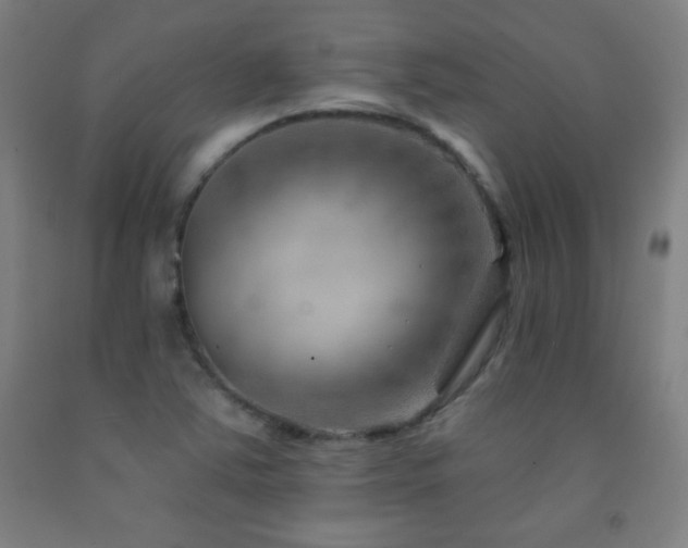 X0000093261363200709261722