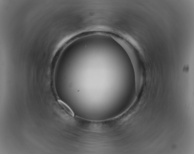 X0000093261364200709261722