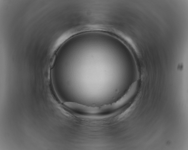 X0000093261365200709261722