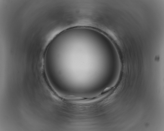 X0000093261366200709261722