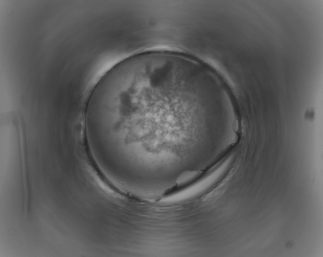 X0000093261367200709261722